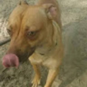 Meet your Posher, Kiona